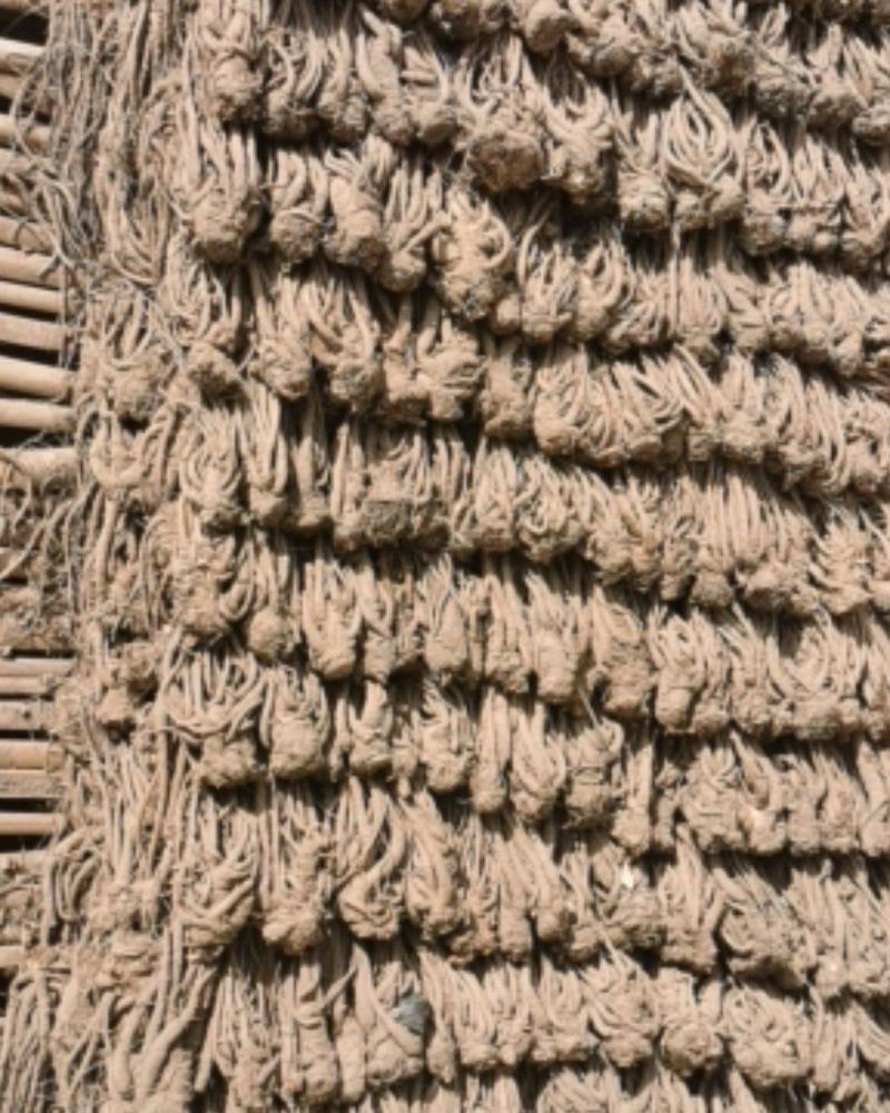 自家当归，鲜干都有，干货为主