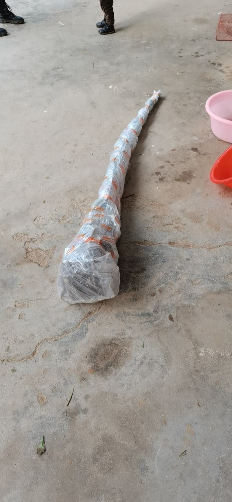 垂枝梅，别名垂枝骨里红梅。又称锦江垂枝梅，河南鄢陵货源，