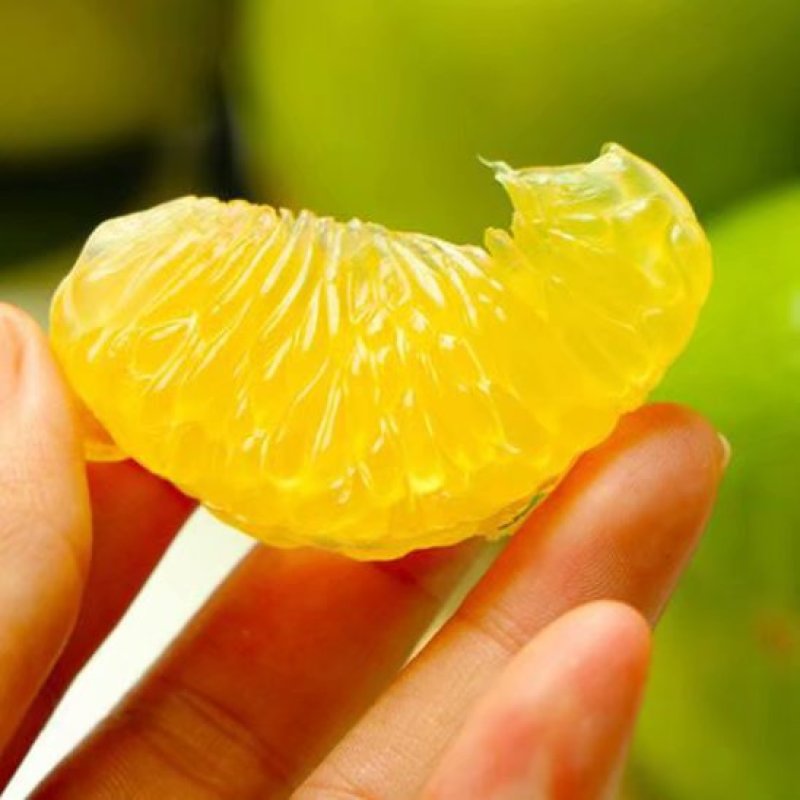 柑橘类皇帝柑贡柑中果5斤一箱