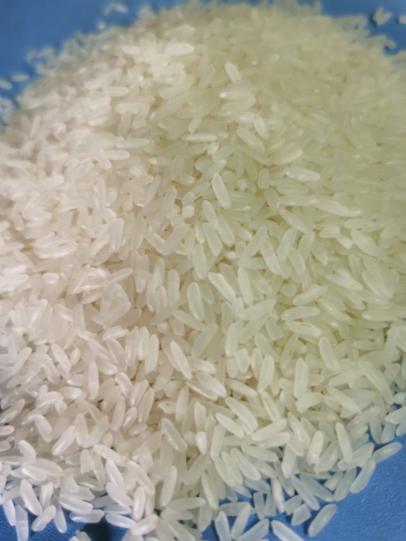 洪湖忆口香再生稻香米订单种植，产自洪湖岸边肥沃绿色的土地