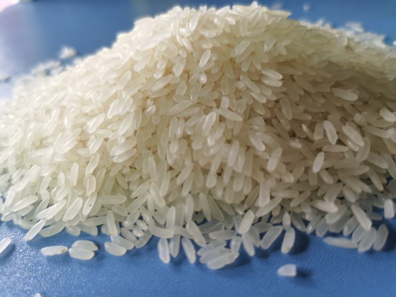 洪湖忆口香再生稻香米订单种植，产自洪湖岸边肥沃绿色的土地