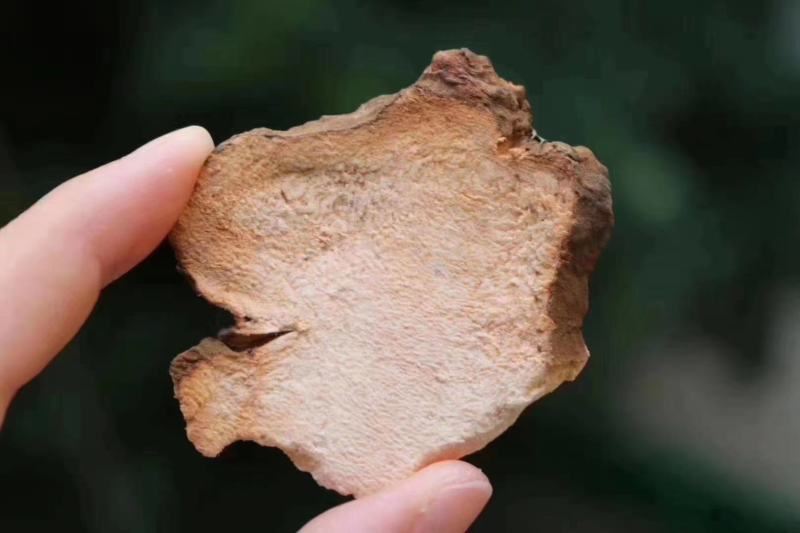 广州人土茯苓可和瘦肉等一起炖汤支持一件代发批发
