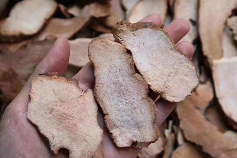 广州人土茯苓可和瘦肉等一起炖汤支持一件代发批发