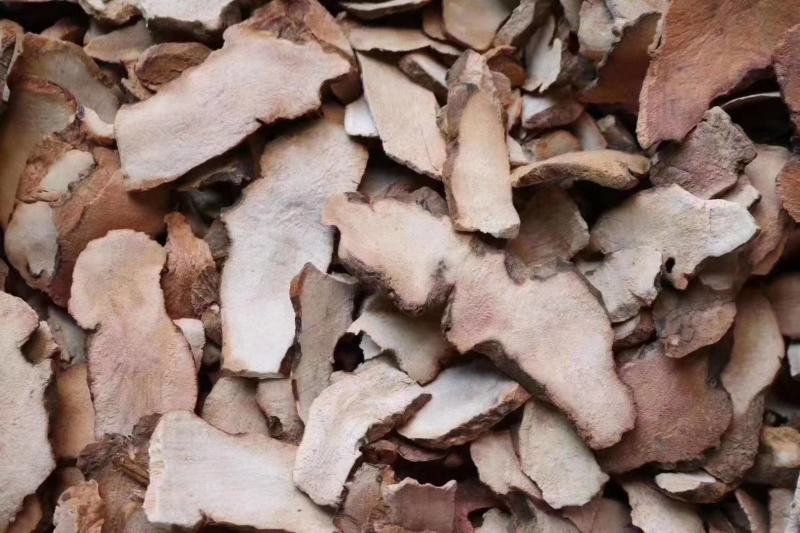 广州人土茯苓可和瘦肉等一起炖汤支持一件代发批发
