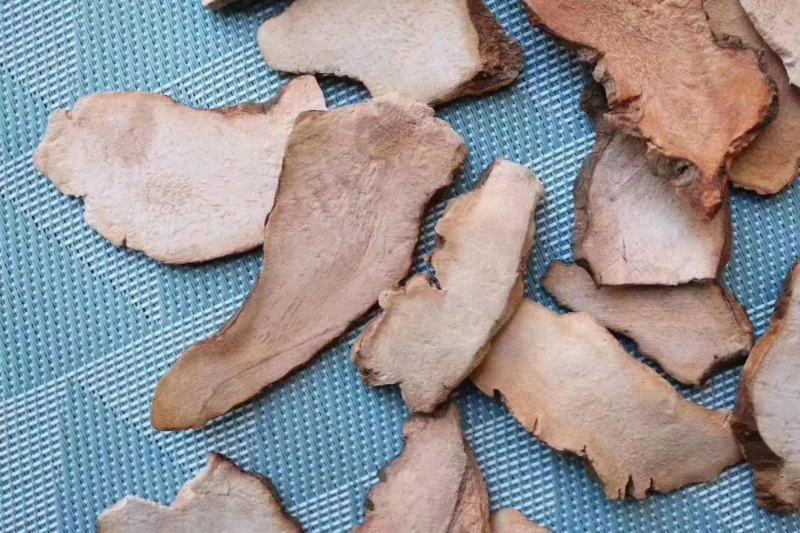 广州人土茯苓可和瘦肉等一起炖汤支持一件代发批发