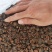 【产地直销】安徽亳州菊花茶一手货源量大从优