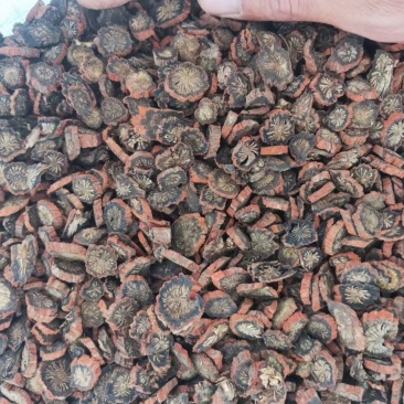 【产地直销】安徽亳州菊花茶一手货源量大从优