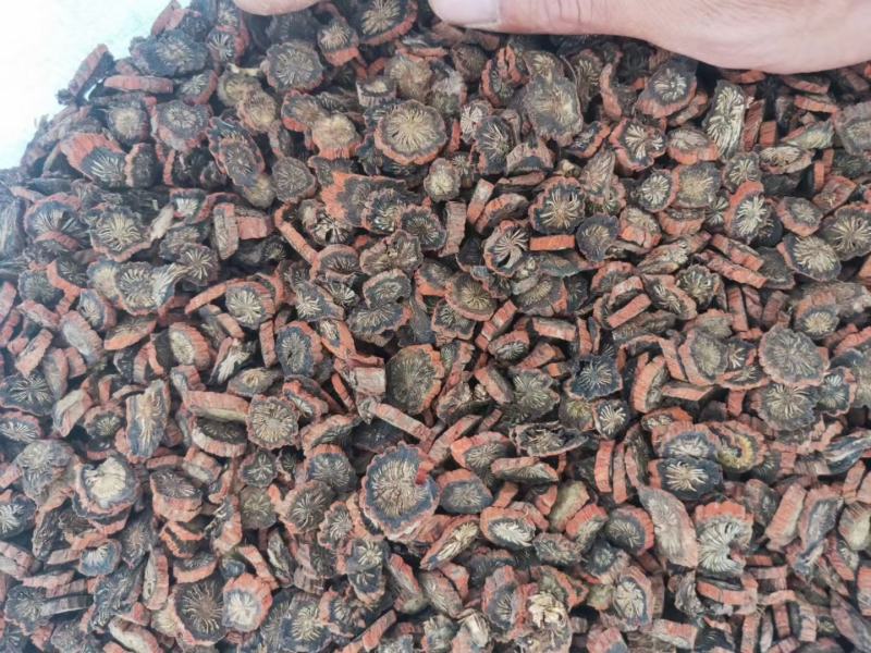 【产地直销】安徽亳州菊花茶一手货源量大从优