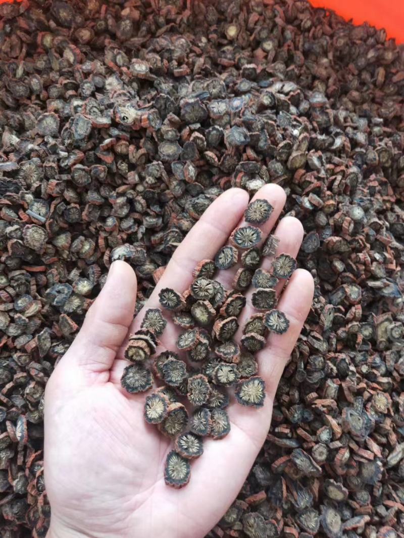 【产地直销】安徽亳州菊花茶一手货源量大从优