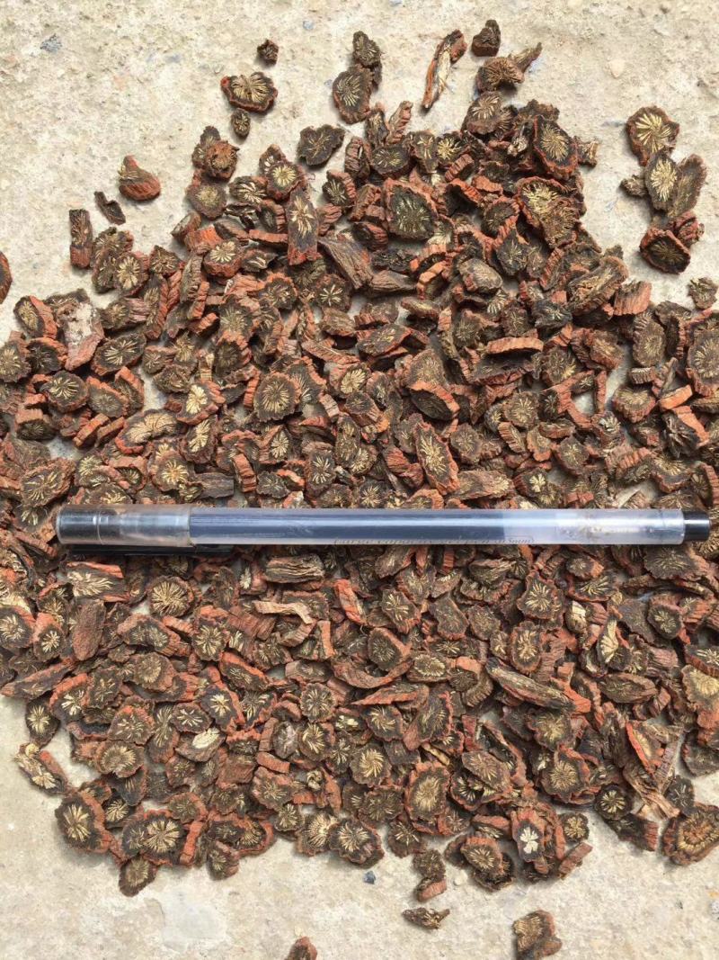 【产地直销】安徽亳州菊花茶一手货源量大从优