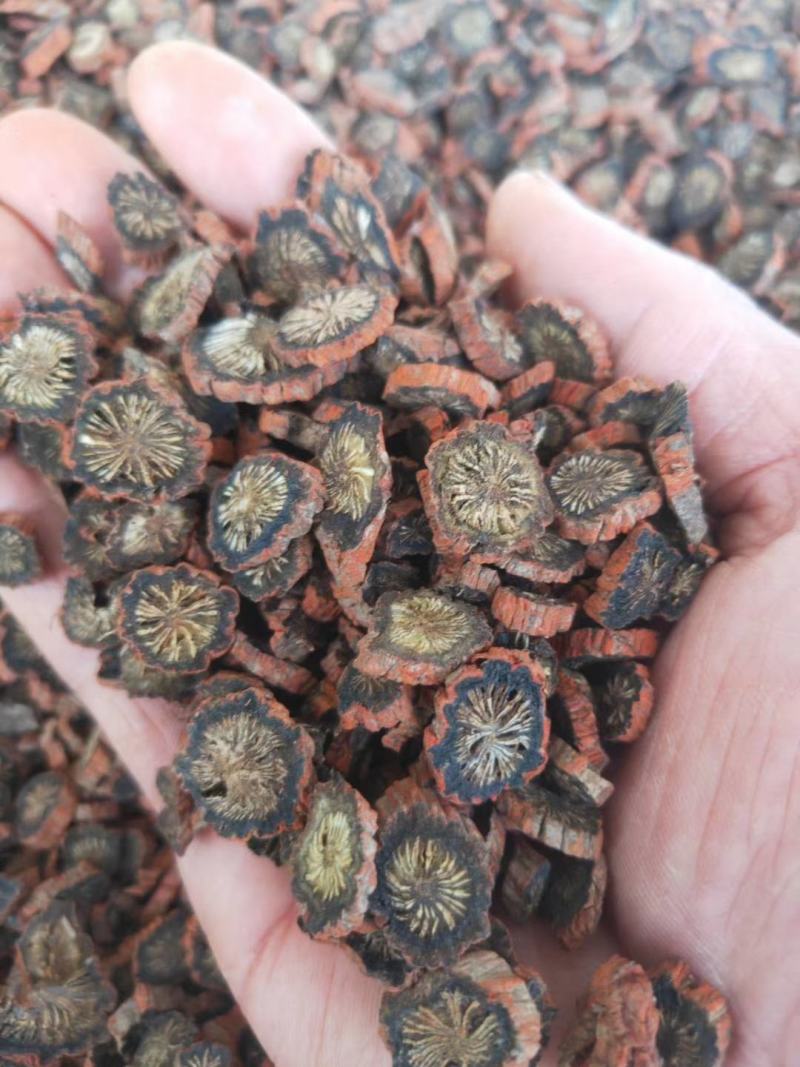 【产地直销】安徽亳州菊花茶一手货源量大从优