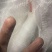 蔬菜防虫网大棚网60目80目防霜网果树防虫网