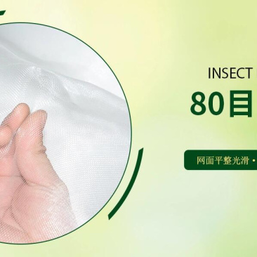 蔬菜防虫网大棚网60目80目防霜网果树防虫网