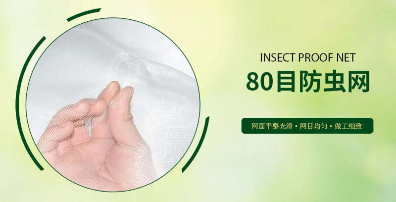 蔬菜防虫网大棚网60目80目防霜网果树防虫网