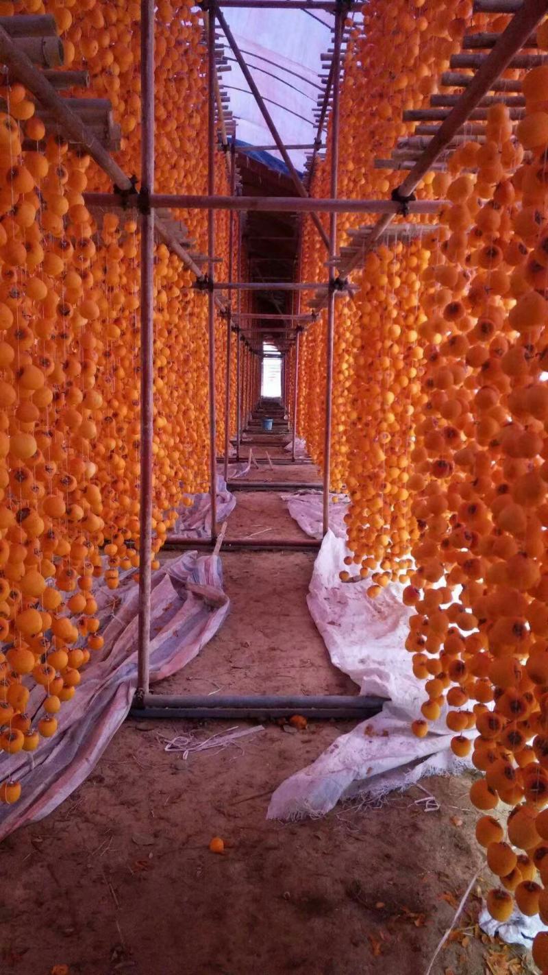 山东临朐柿饼，大量现货