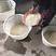 高宝湖鸡头米(北芡)苏州双盛食品有限公司出品