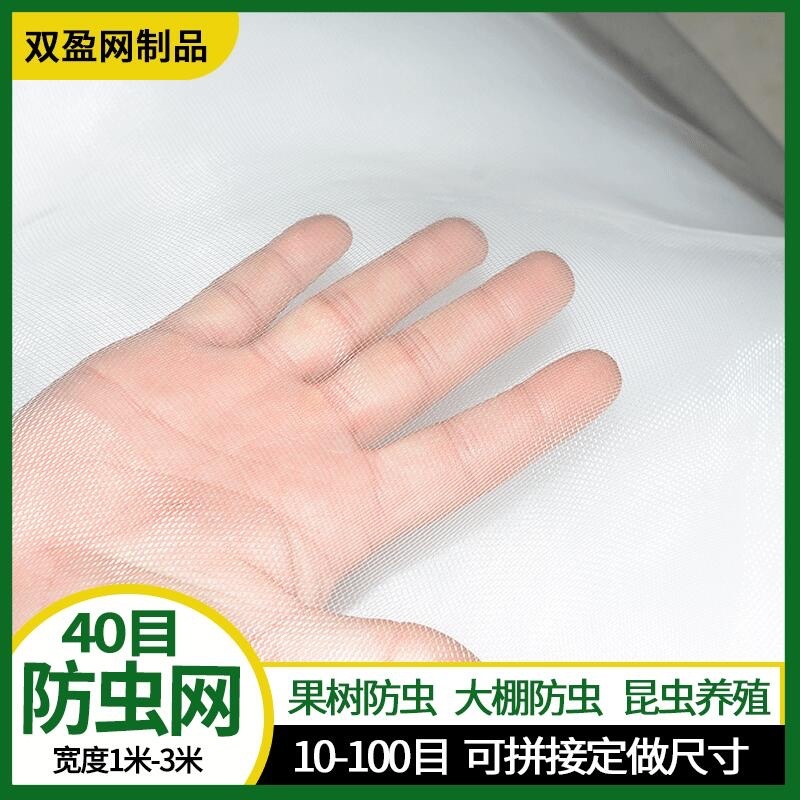 大棚蔬菜网养殖网防虫果树防虫网种植网防霜网