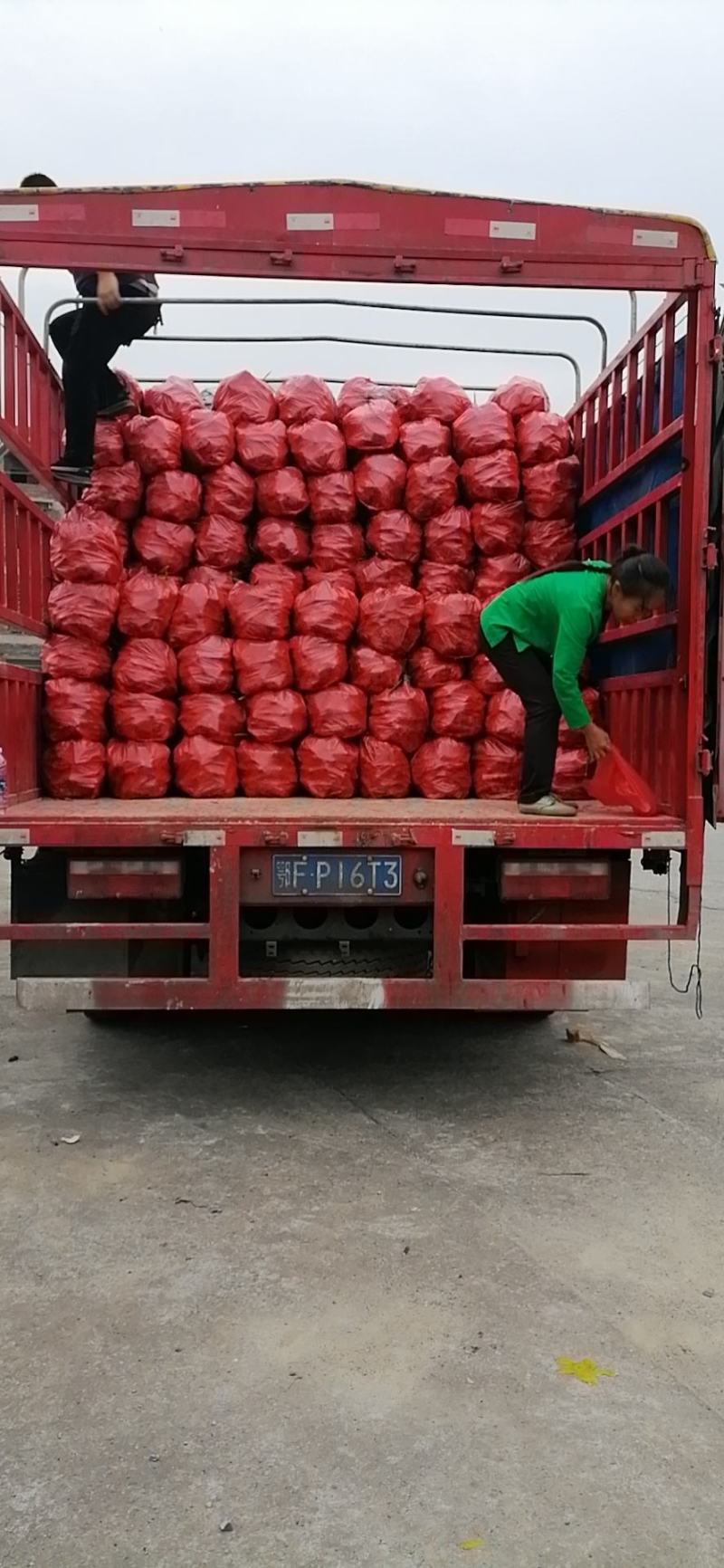 2020年生姜出售欢迎各位老板订购
