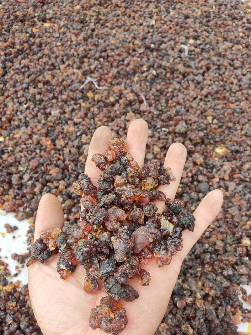 老树黑桃胶，胶型完整个大，干燥杂质少，包装储存好