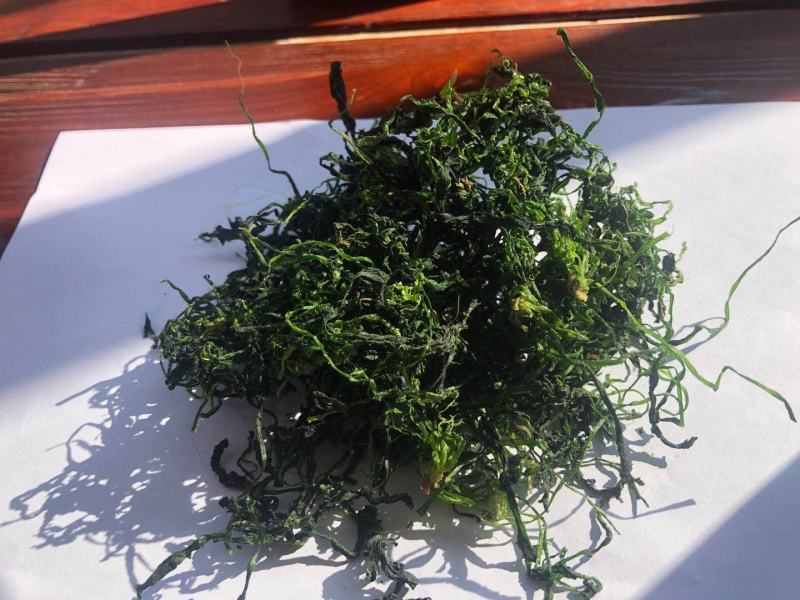 2020年新荠菜干整棵