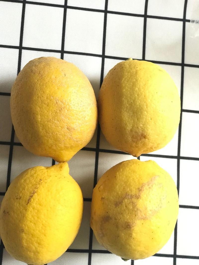 安岳尤力克黄柠檬三级果，自家果园产地直供大小可