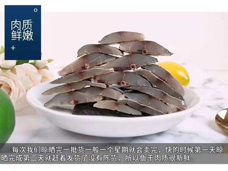 刀鲅，开背鲅鱼肉质劲道，没有乱刺，大量批发