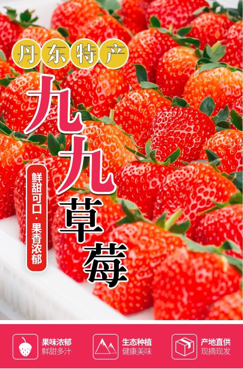 辽宁东港九九草莓基地一件代发烘焙纸盒.水晶盒包装等等