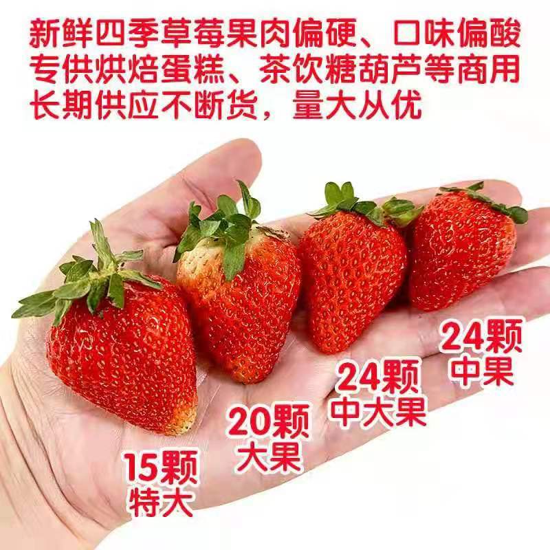 辽宁东港九九草莓基地一件代发烘焙纸盒.水晶盒包装等等