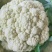 砀山各种花菜大量上市，质量好货源多，价格低，欢迎选购。
