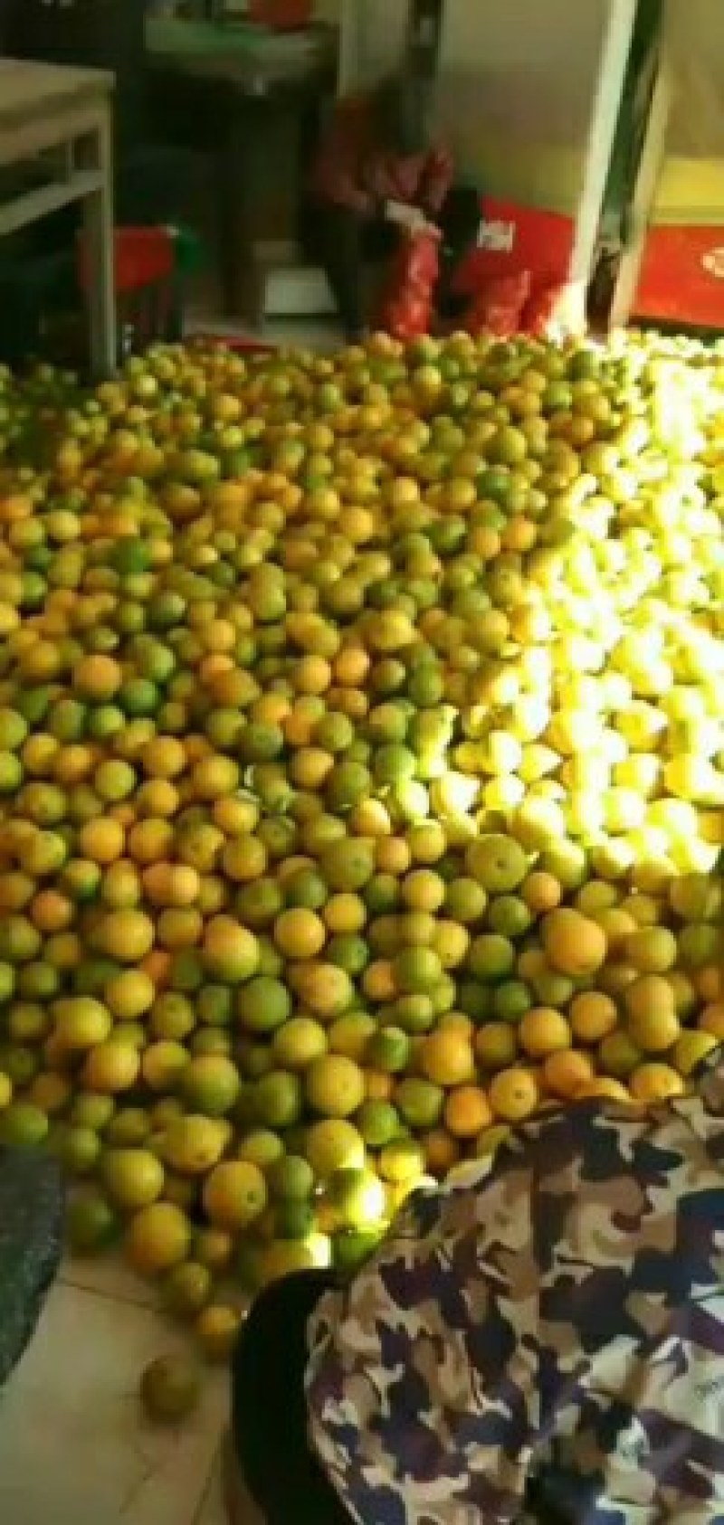 大量出售需要的可以联系价格不高欢迎新老顾客来电