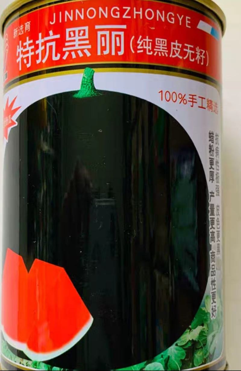 抗黑丽纯黑皮无籽红瓤西瓜种子蜡粉厚正圆型