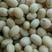 安徽宿州大颗粒高蛋白黄豆