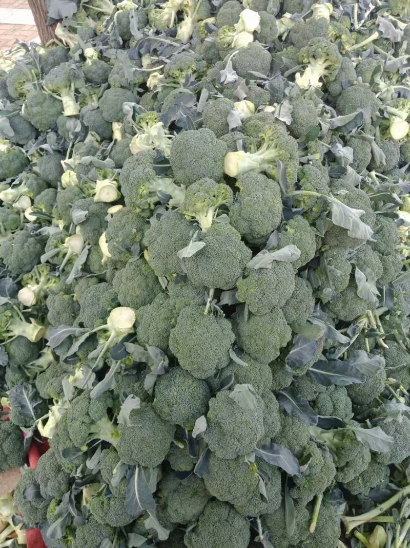 精品西蓝花，货源充足，颜色青绿，基地供应