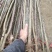 奶油富士,水分足,甜度高,基地直供,品质保证