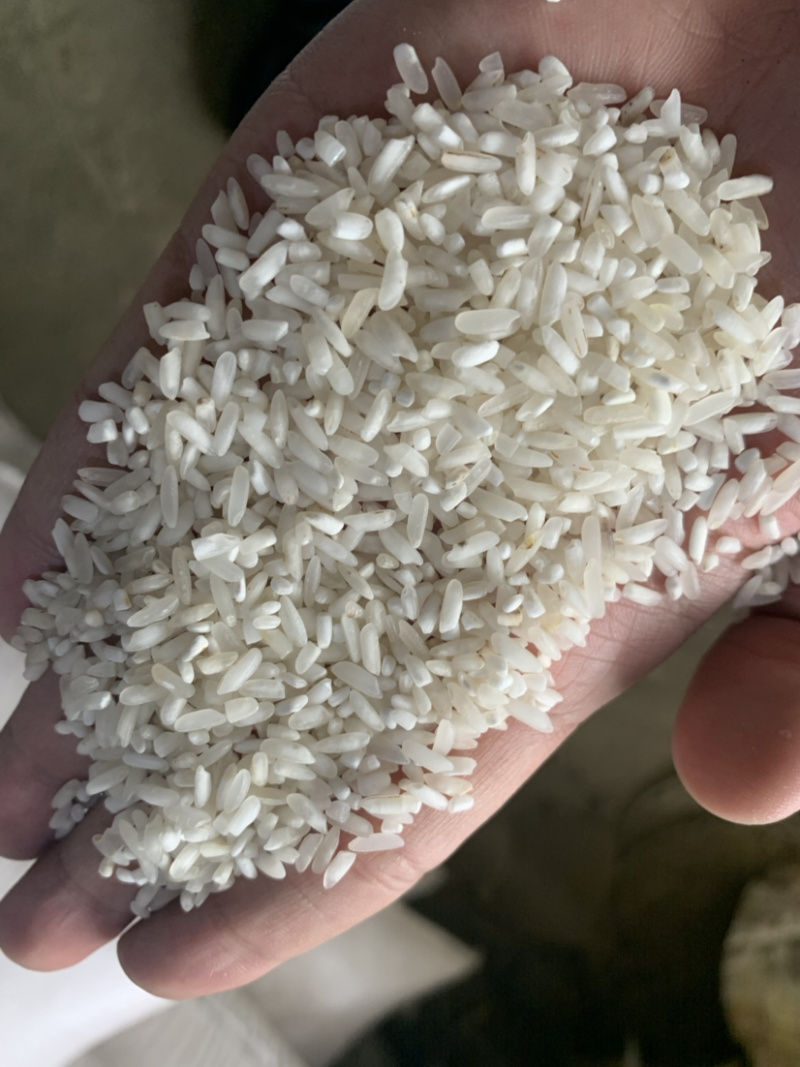 碎米，小碎米，毛碎米黄米，白米大量有货！！