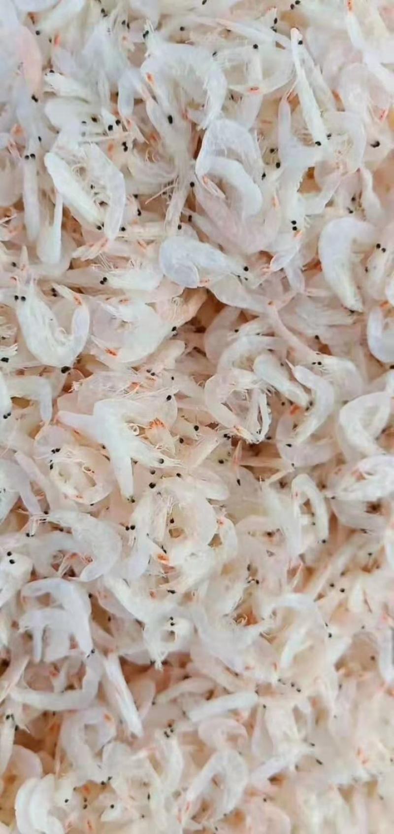 无盐淡干虾皮！补钙佳品！一手货源！量大从优！