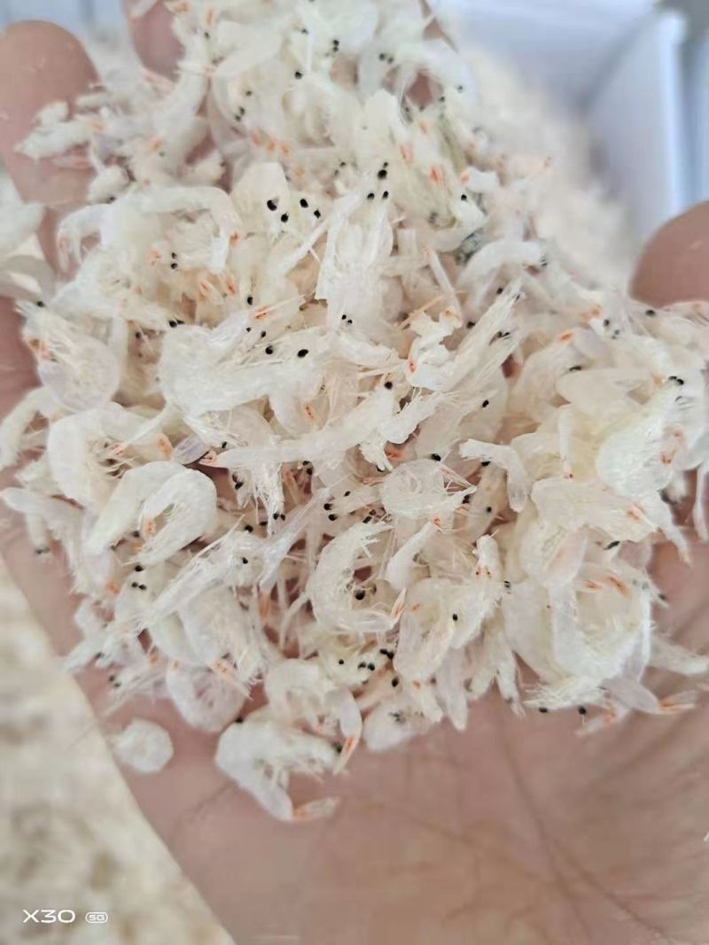 无盐淡干虾皮！补钙佳品！一手货源！量大从优！