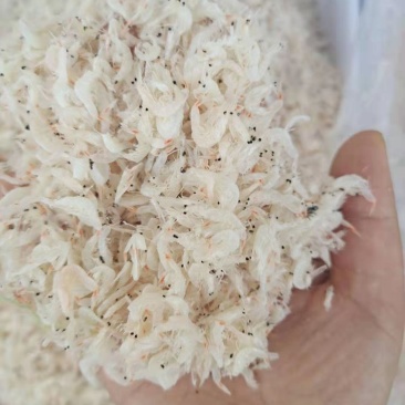 无盐淡干虾皮！补钙佳品！一手货源！量大从优！
