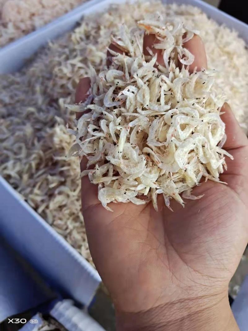 无盐淡干虾皮！补钙佳品！一手货源！量大从优！