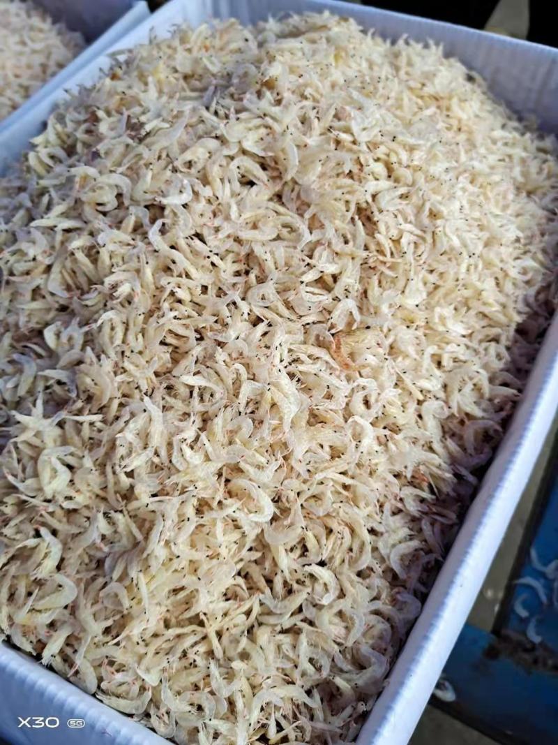 无盐淡干虾皮！补钙佳品！一手货源！量大从优！
