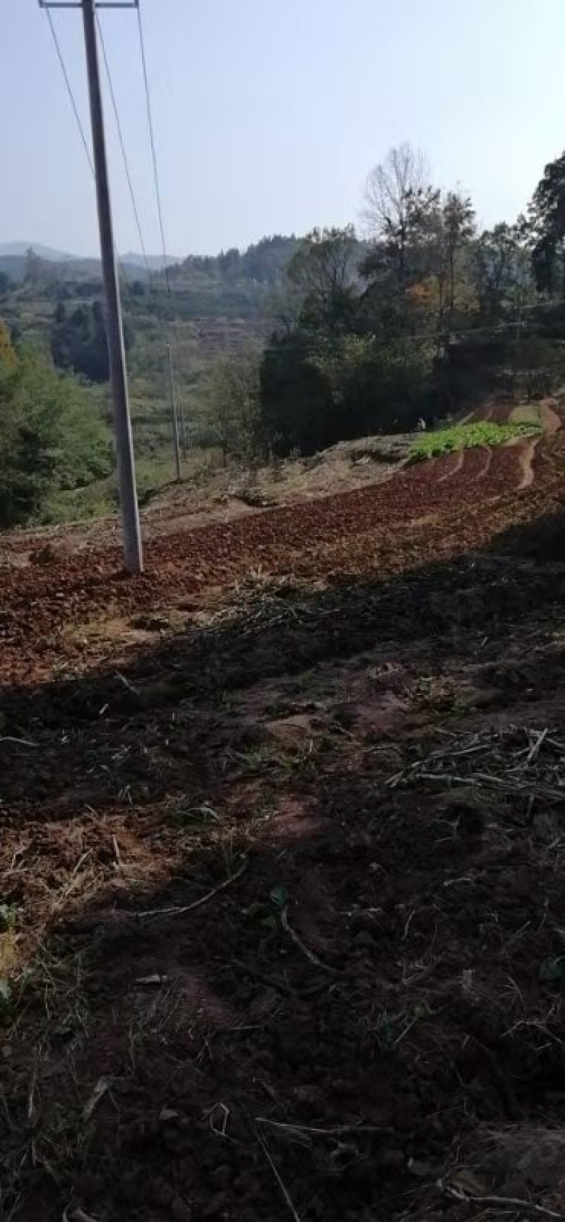 农村自留地，菜地，旱地，耕地出租合作种养