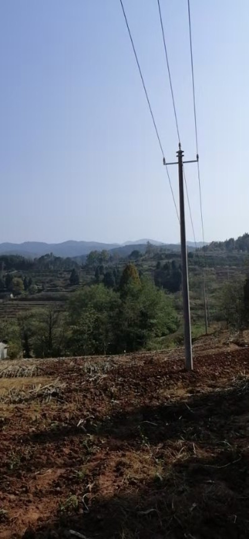 农村自留地，菜地，旱地，耕地出租合作种养