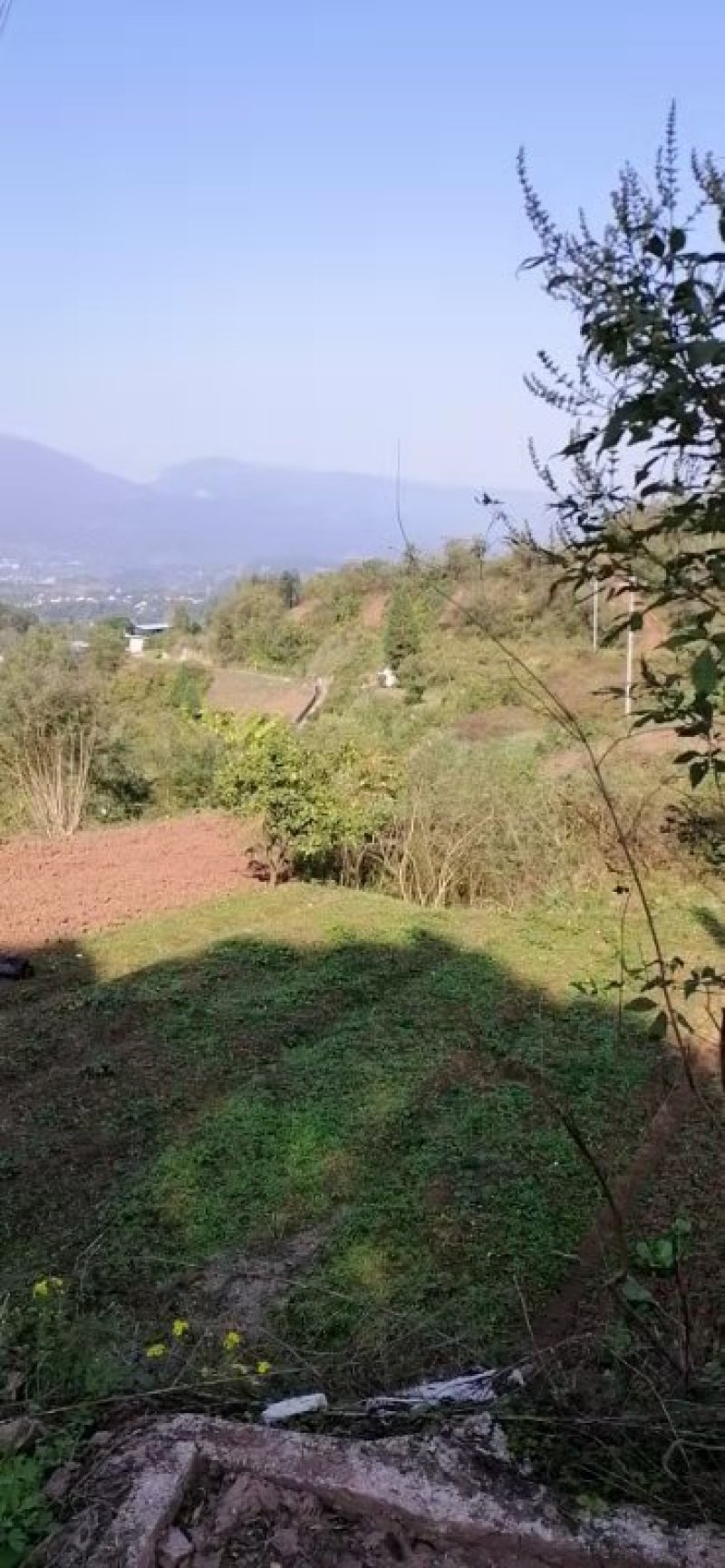 农村自留地，菜地，旱地，耕地出租合作种养