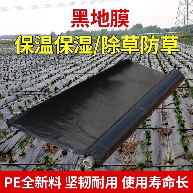 白地膜单白黑白农用地膜白膜薄膜除草膜花生蔬菜大棚育苗农资