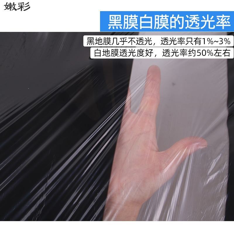 白地膜单白黑白农用地膜白膜薄膜除草膜花生蔬菜大棚育苗农资