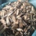 大茶藤大茶根大茶药批发零售各种中药材