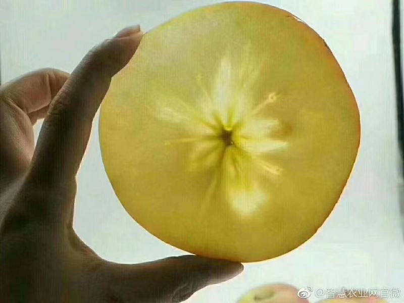 精品高原纸加膜红富士孕妇水果甜脆水