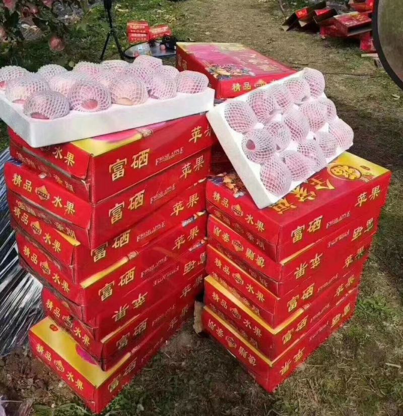 精品高原纸加膜红富士孕妇水果甜脆水