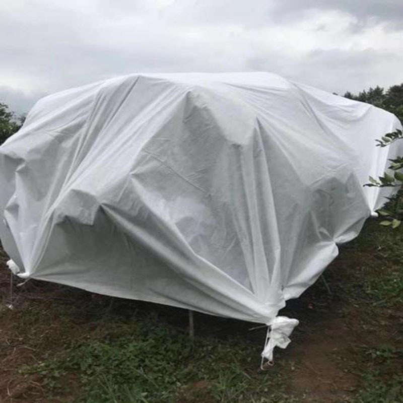 防寒布防寒袋植物脐橙柑橘果树保温植物防水透气保湿防冻布防