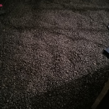 油茶籽，霜降野生小籽，全干籽，出油率高，手工去壳，无霉变
